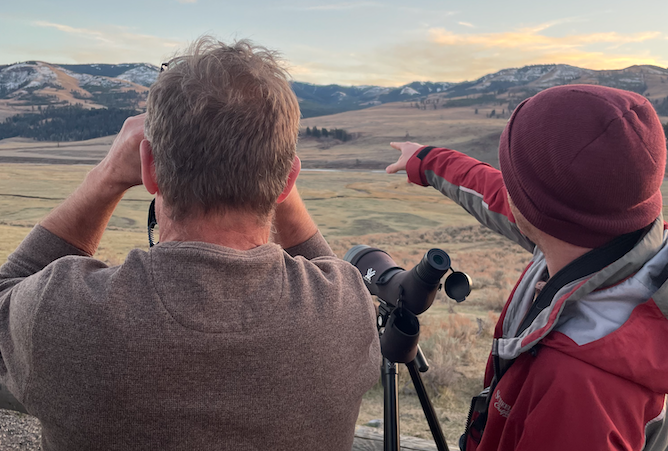 Searching for wolves in the park in October.